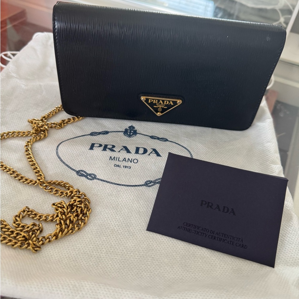 Prada Miniborse Chain Wallet Crossbody